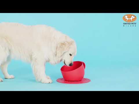 United Pets Set CUP 2500ml + Bowl mat