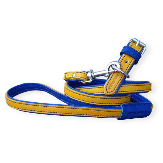 Jet Line Set in Mustard & Electric Blue Leather
