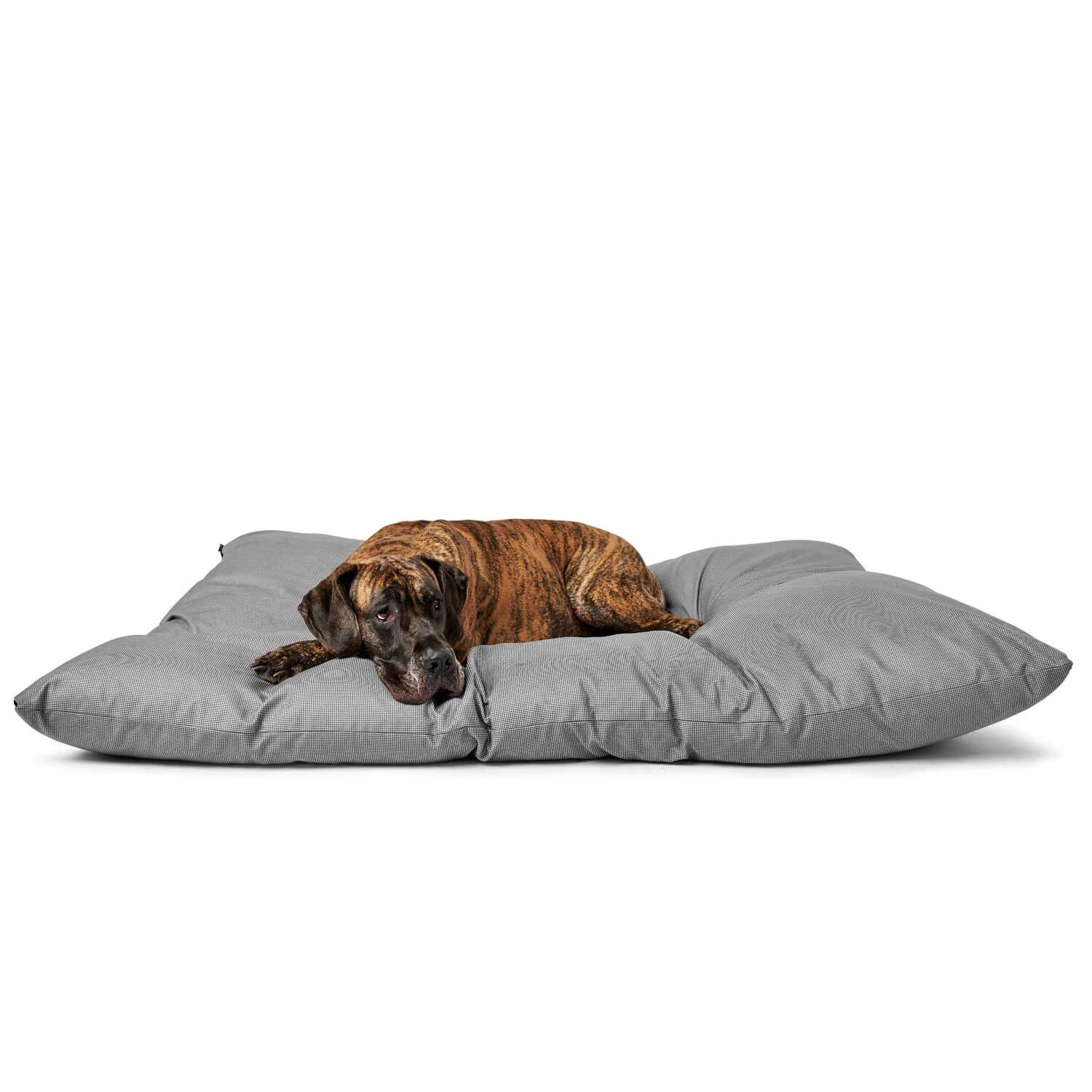 Pet Boutique - Maxi Bed Lancaster 175 X 146 cm