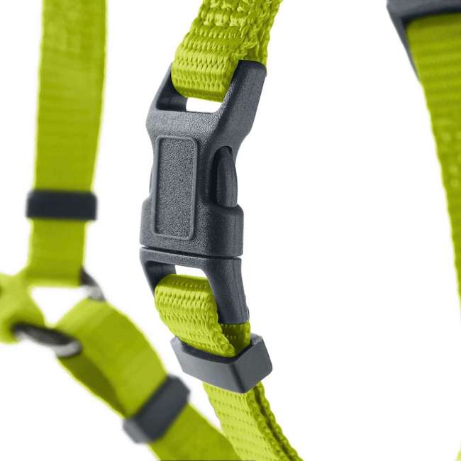 Harnesses London Lime