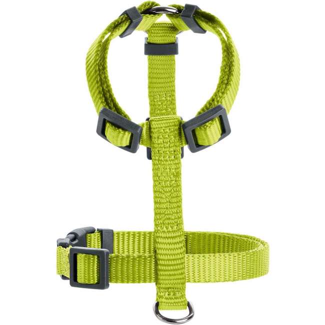 London Lime Harnesses