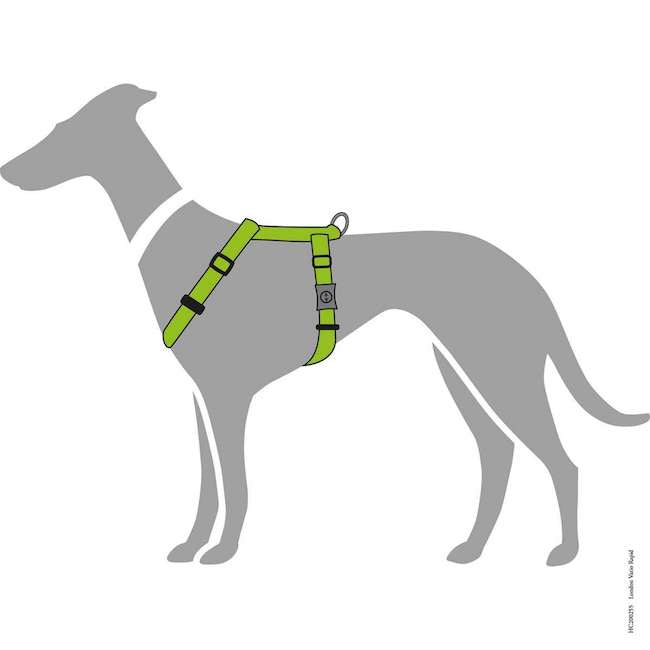 London Lime Harnesses