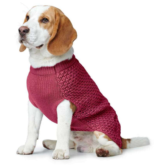 Kentucky Dog Sweater Teddy Fleece Pine Green