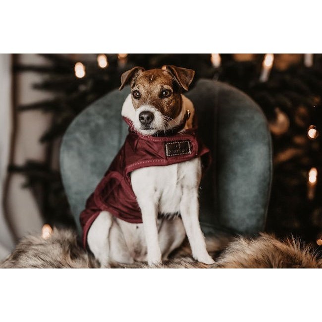 Pet Boutique- Kentucky - Cappotto Original