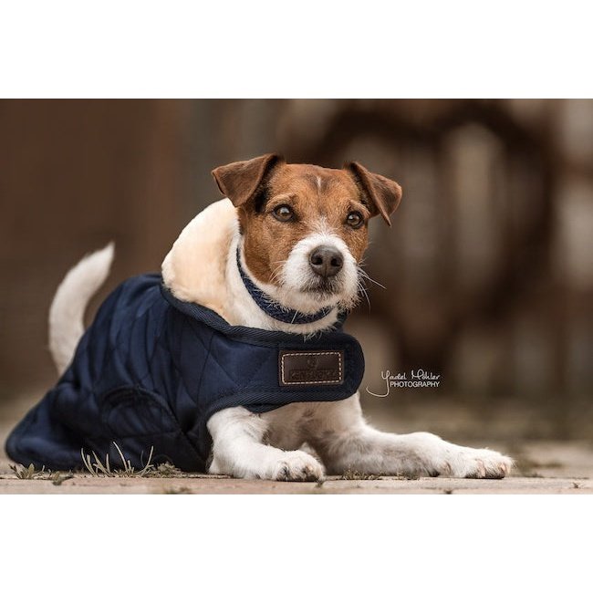 Pet Boutique- Kentucky - Cappotto Original