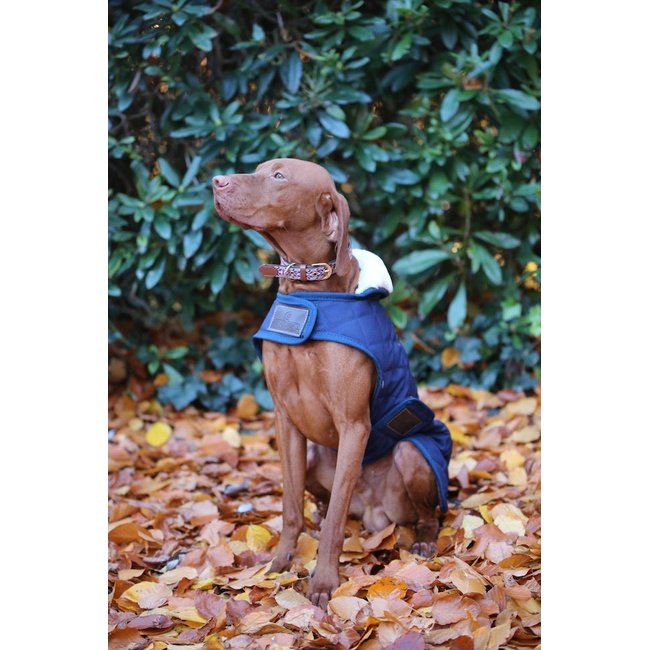 Pet Boutique- Kentucky - Cappotto Original