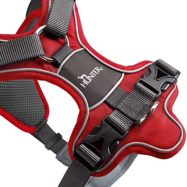 Divo Red and Gray Harnesses