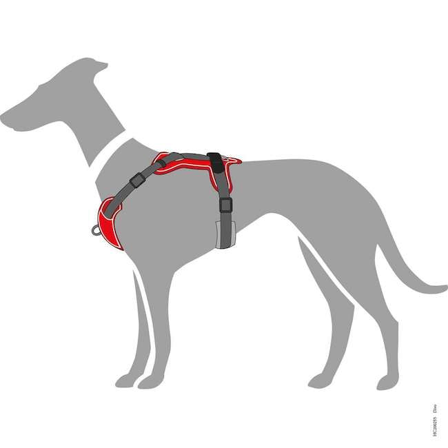 Divo Red and Gray Harnesses