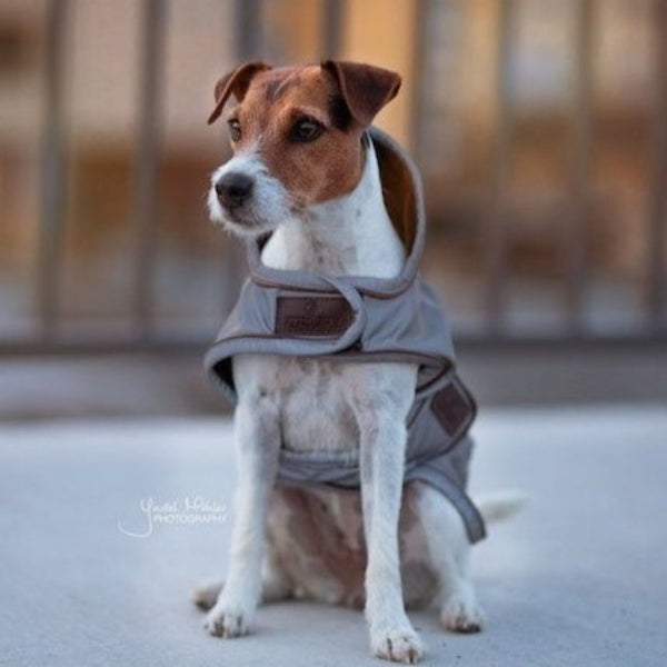 PetBoutique-Kentucky - Cappotto per cani riflettente