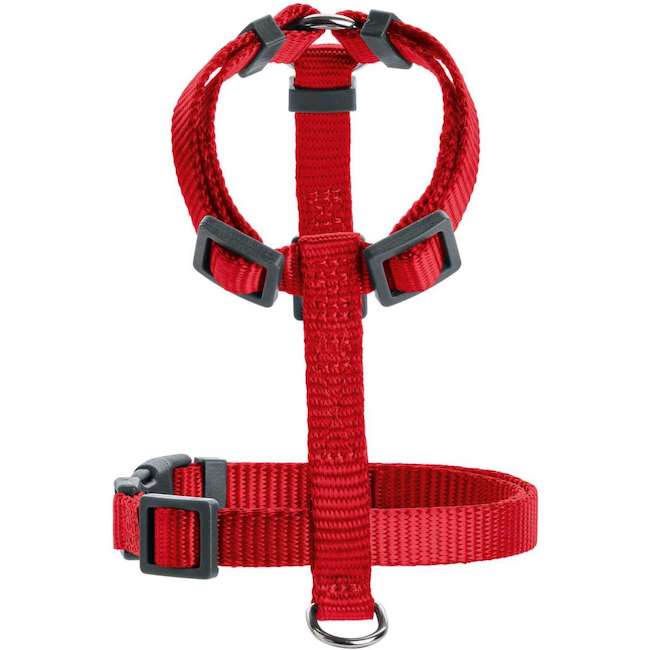 Harnesses London Red - 0