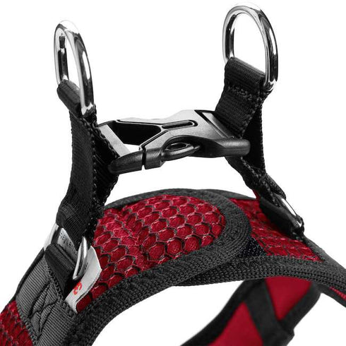Hilo Red harnesses with reflective edges