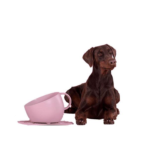 Pet Boutique - United Pets Set Tazza CUP 2500ml + Tappetino sottociotola