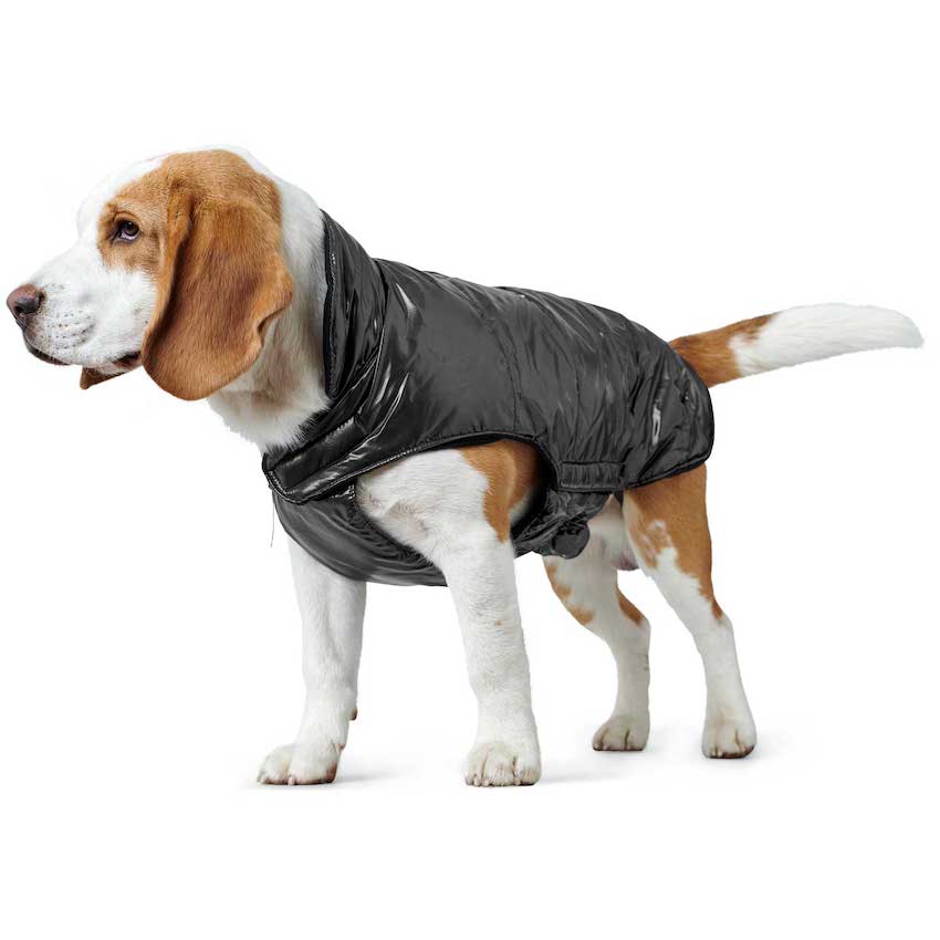 Hunter - Manteau pour chien Tampere Nero