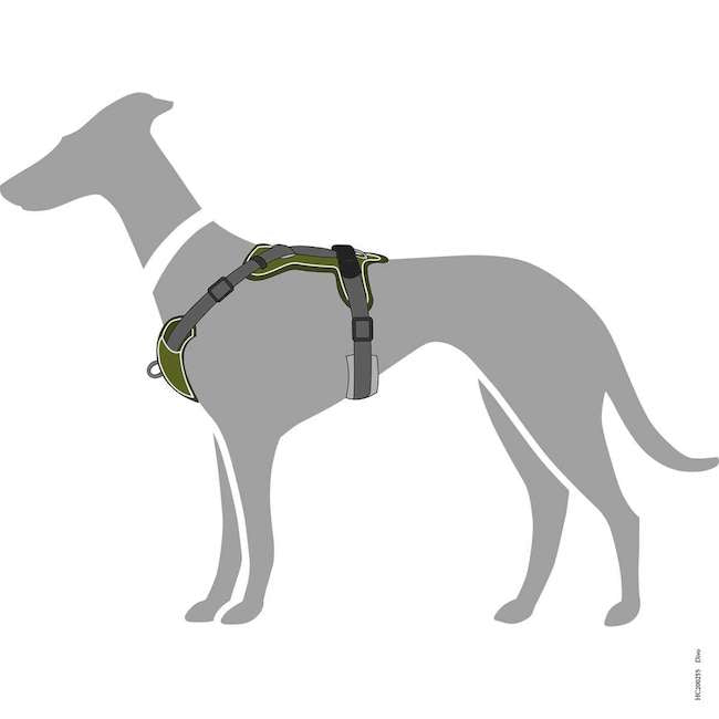 Divo Harnesses Dark Green and Grey