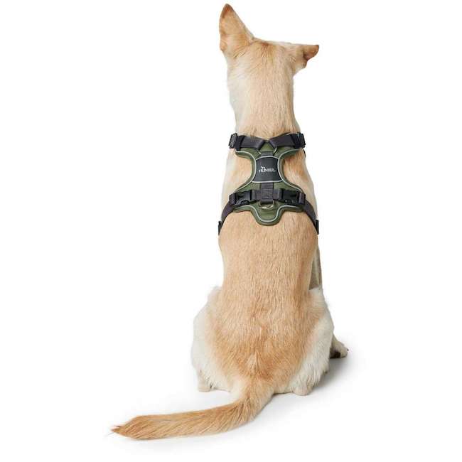 Divo Harnesses Dark Green and Grey