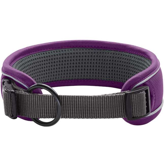 Purple and Gray Divo Collars - 0