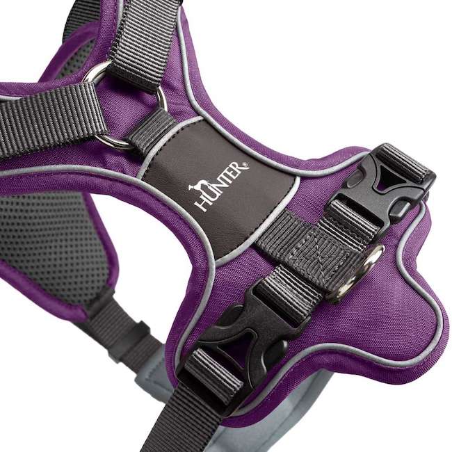 Divo Harnesses Purple and Grey