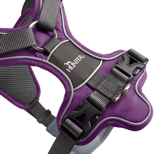 Hunter Divo Harnesses Purple and Gray - 0
