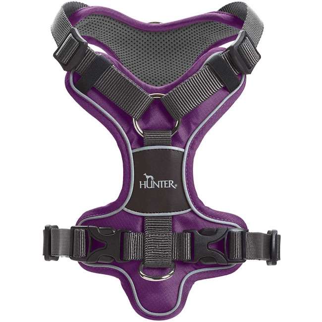 Divo Harnesses Purple and Grey